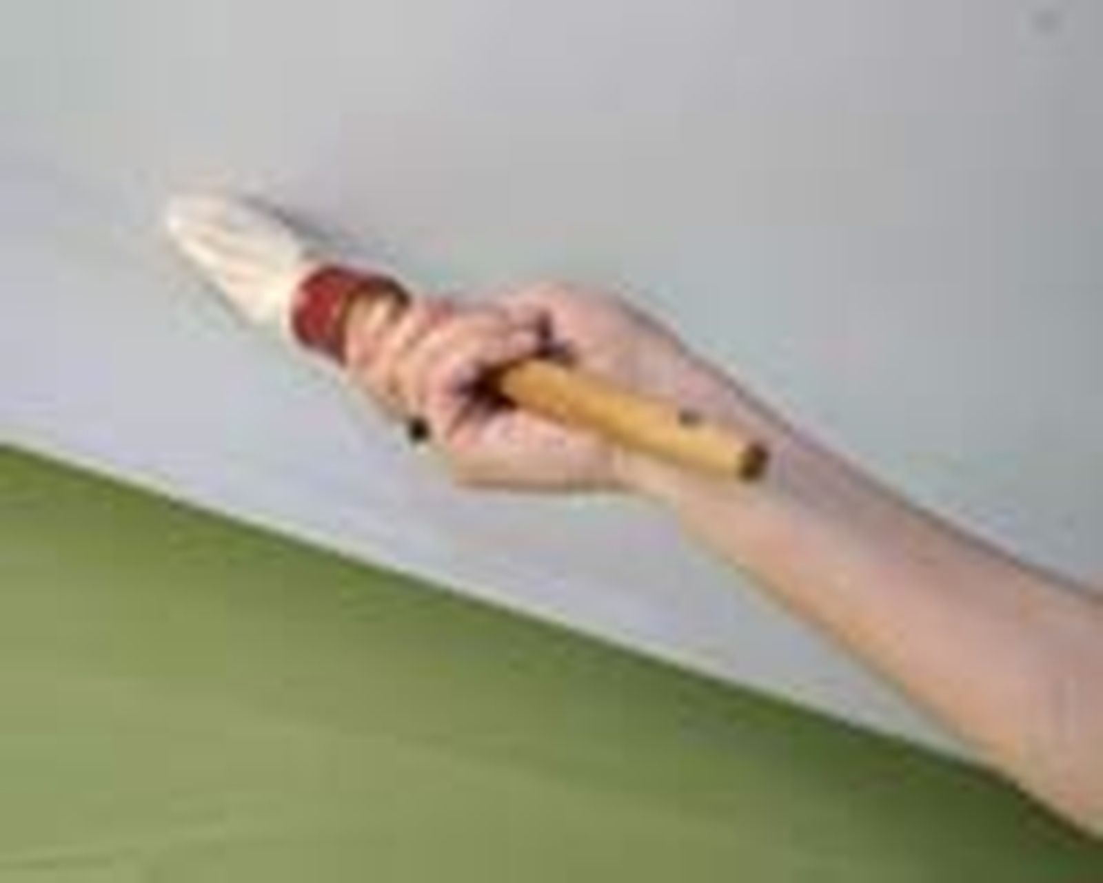brico 0496 2 pintura elimina olores paso 3 brico 0496 2 pintura elimina olores paso 3