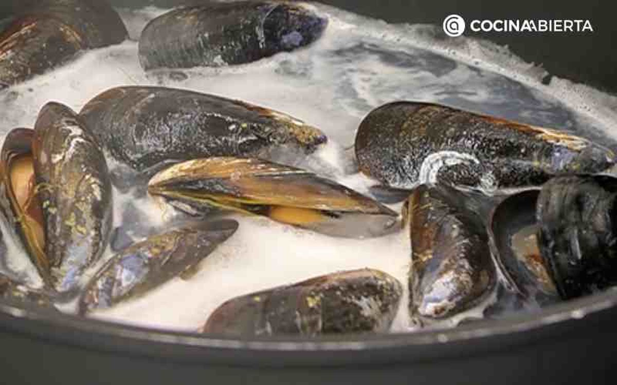 Cocina los mejillones