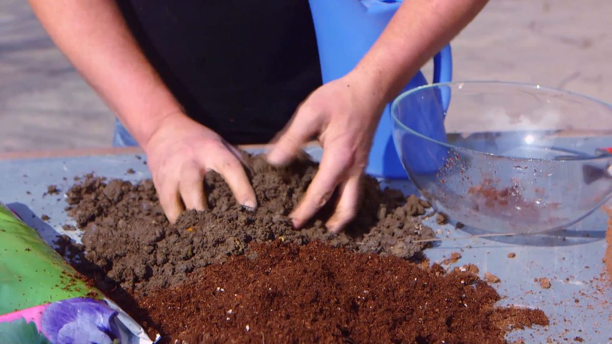 brico 0910 3 sanear olivo tierra mineral