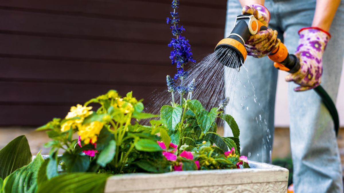 Un riego adecuado incluye lavados periódicos del sustrato