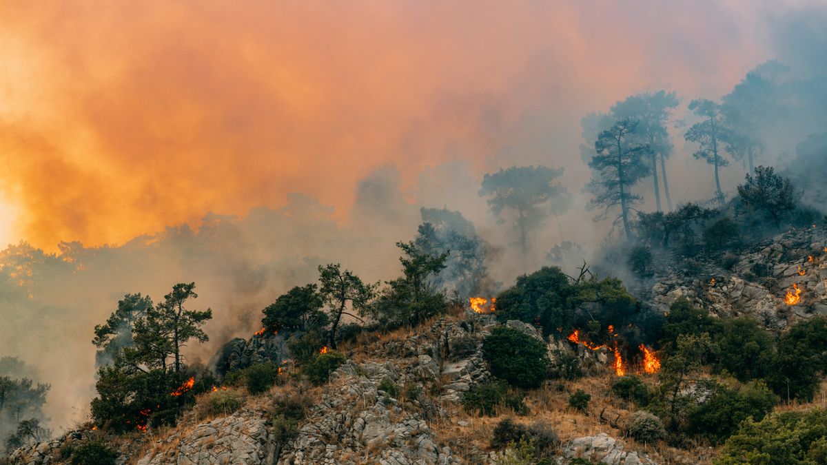El número de incendios disminuye pero son más peligrosos
