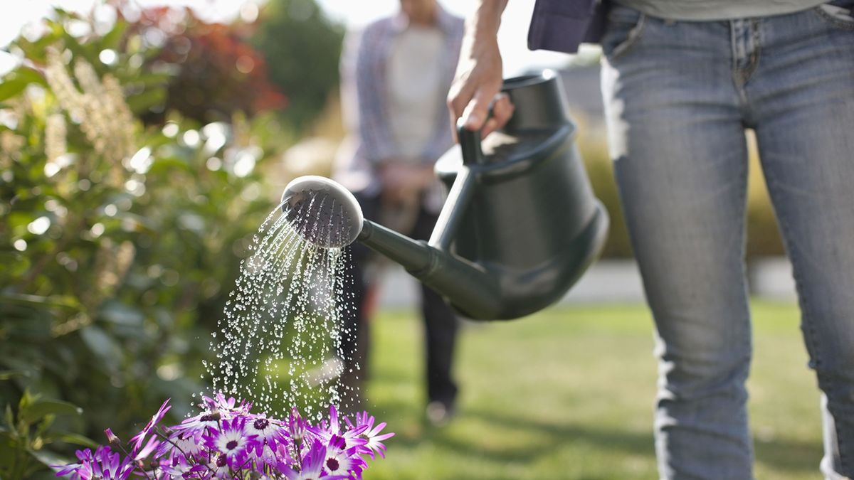 jardineria septiembre2