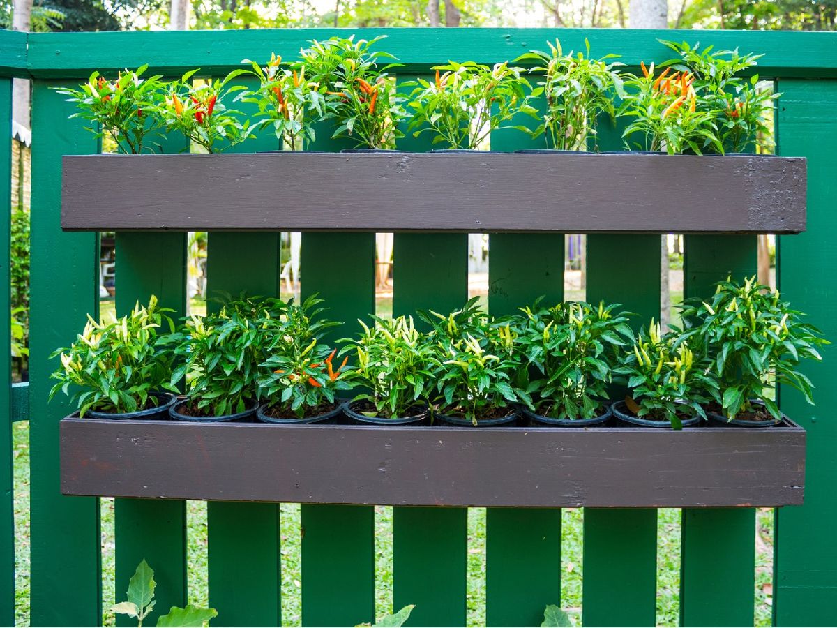 Añade un toque de color con jardineras colgantes