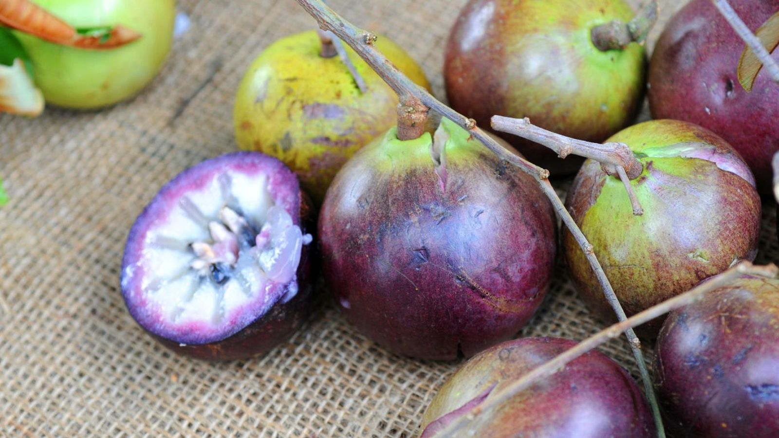 Caimito fruta
