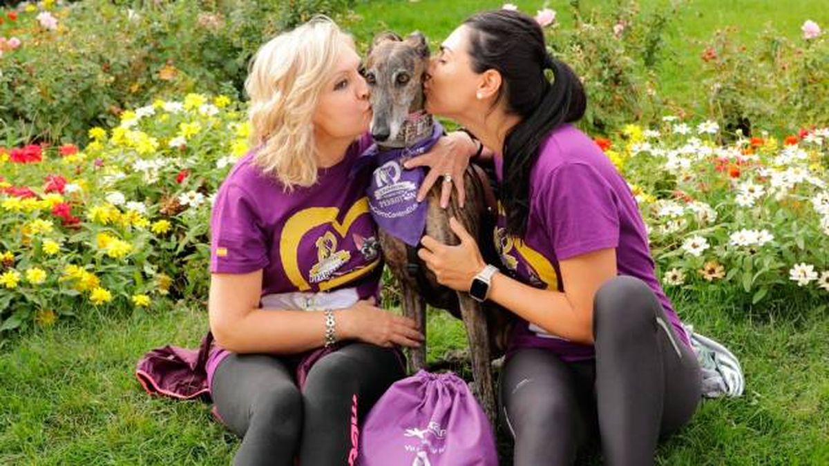 carrera solidaria perroton madrid