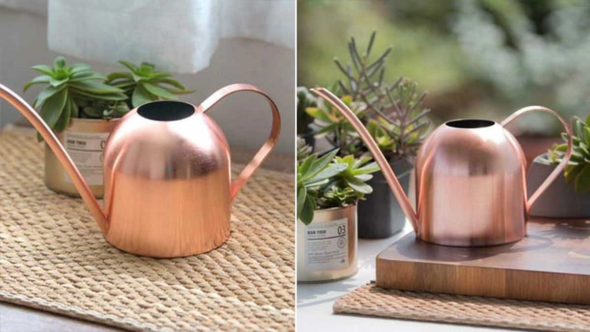 amazon regadera asvert