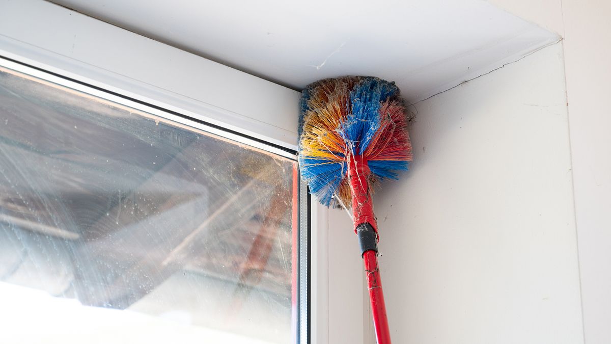 Lo más importante es limpiar las telarañas