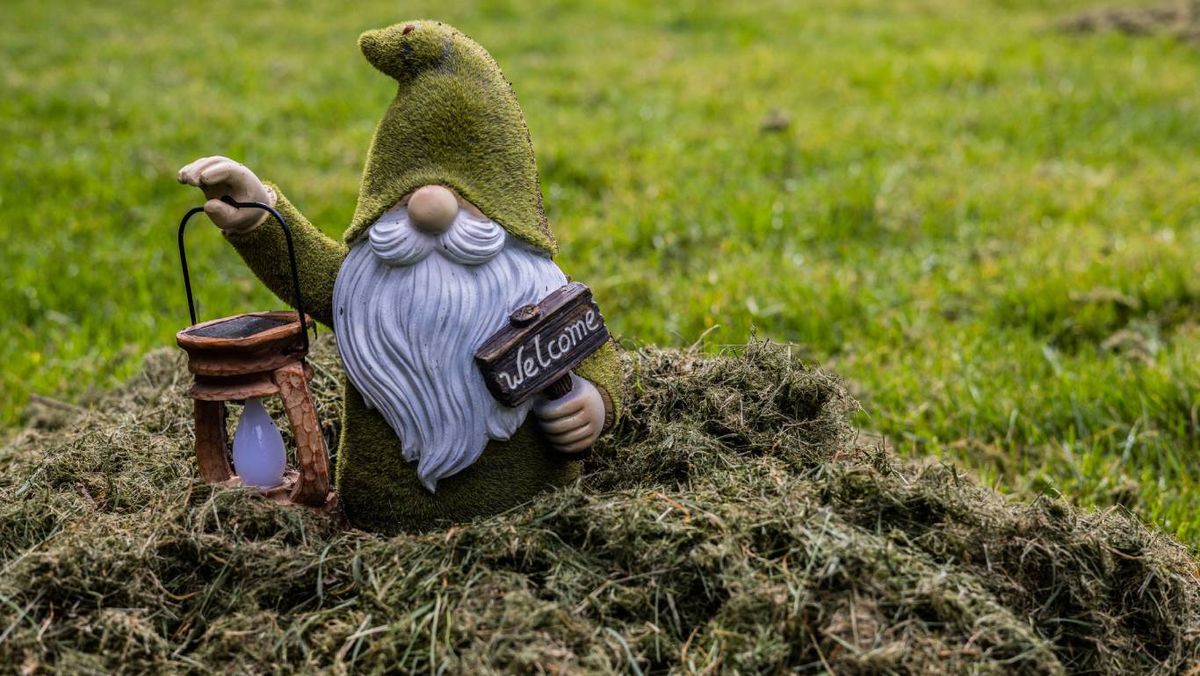 Muchos de estos mitos han pasado de boca en boca, como si fueran verdades absolutas.