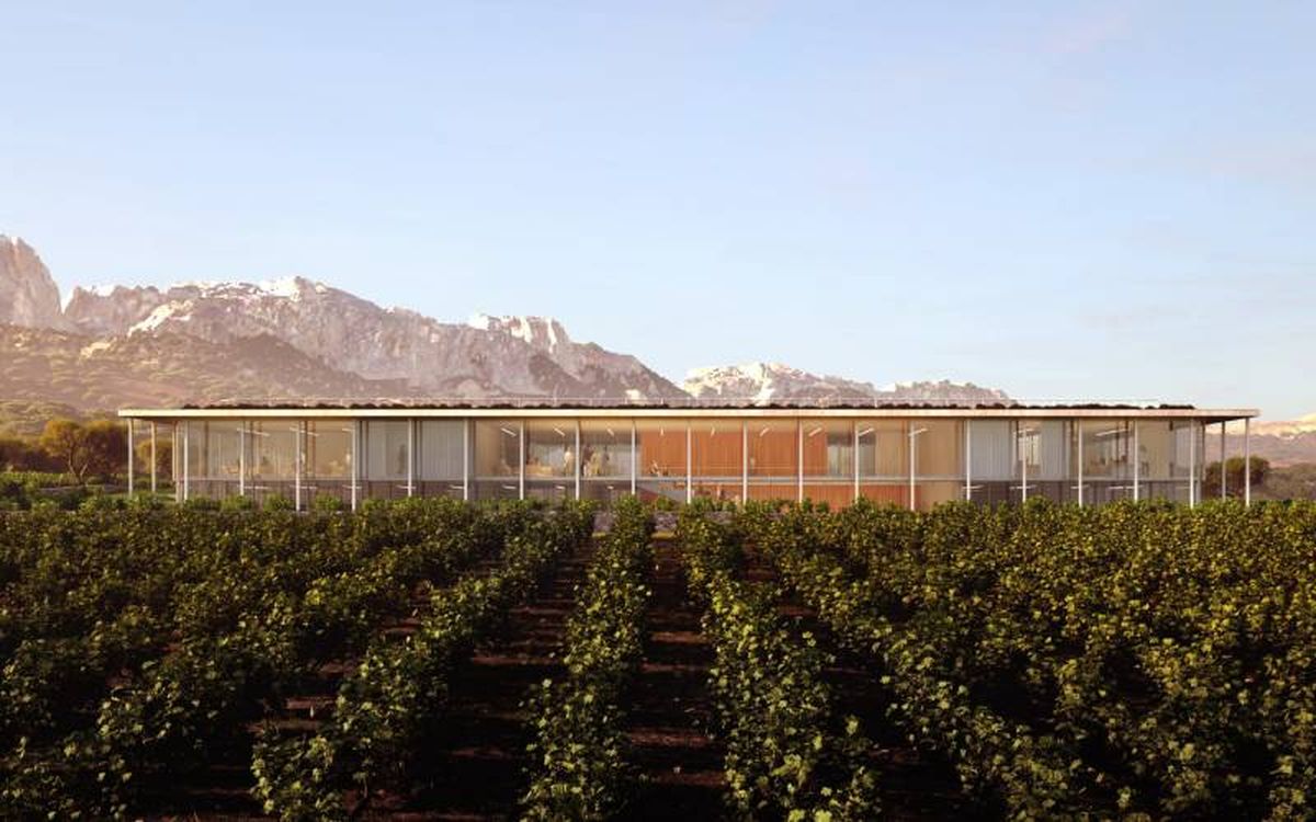 El primer campus del vino tendrá dos sedes