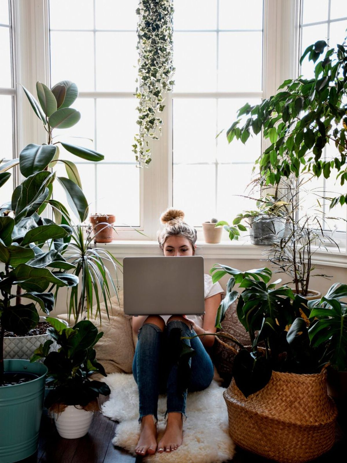 plantas grandes para una casa