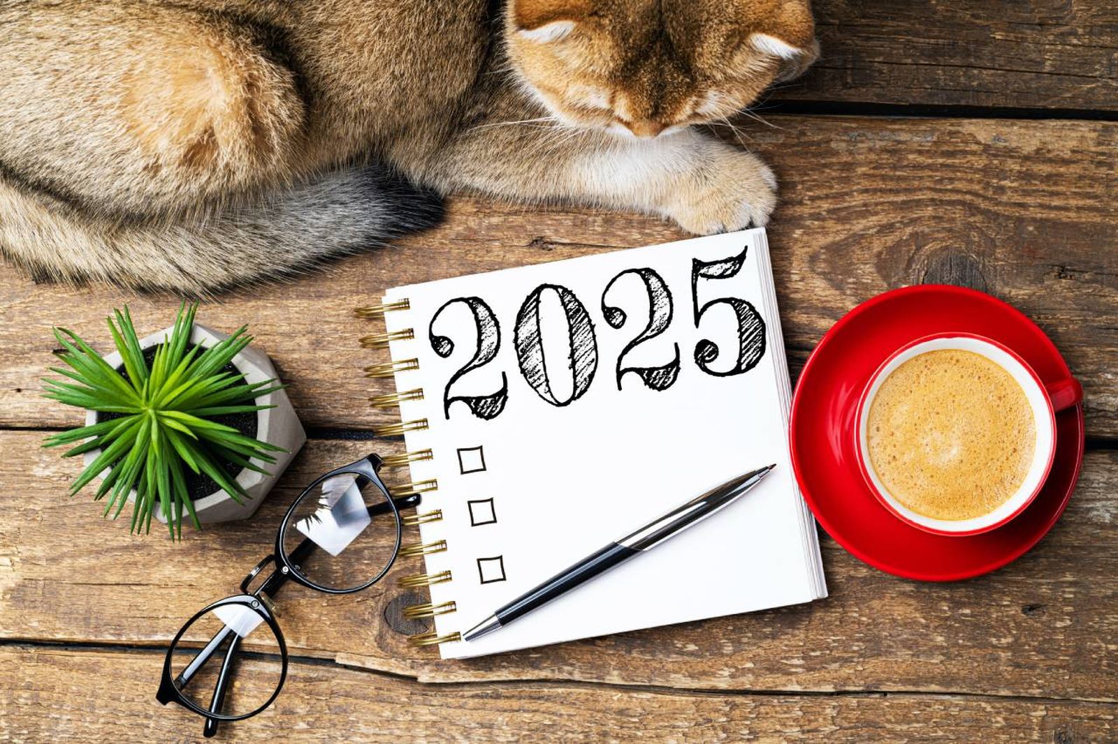 Si eres dueño de una mascota, en 2025 puedes enfocarte en su bienestar y felicidad.