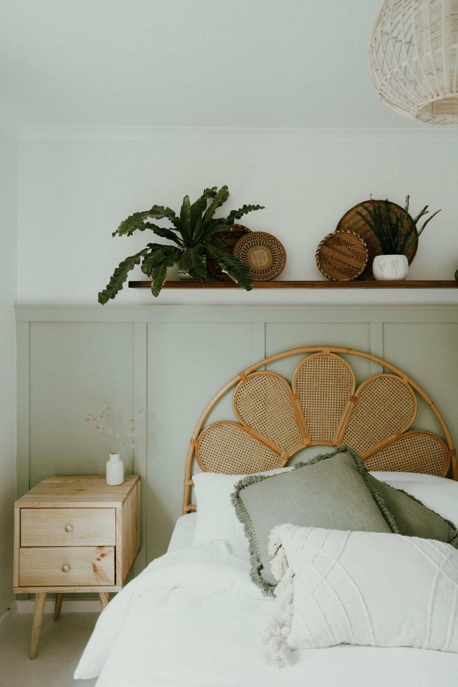 Planta sobre la cama.