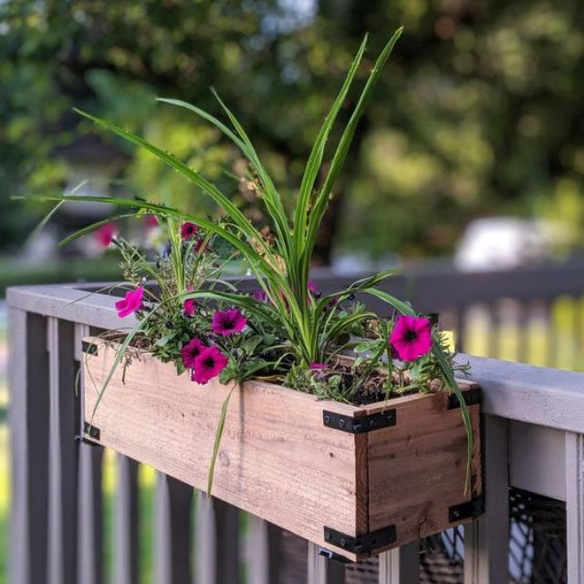 ceja de vino jardinera balon