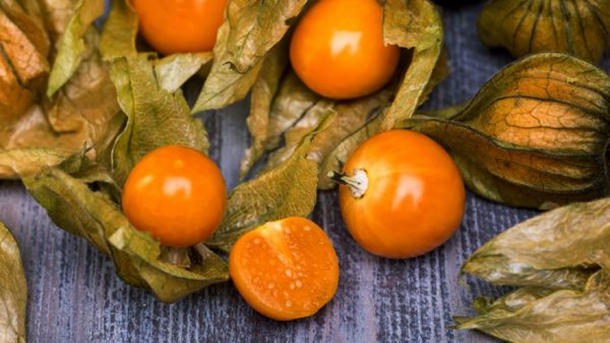 Frutas exóticas- physalis