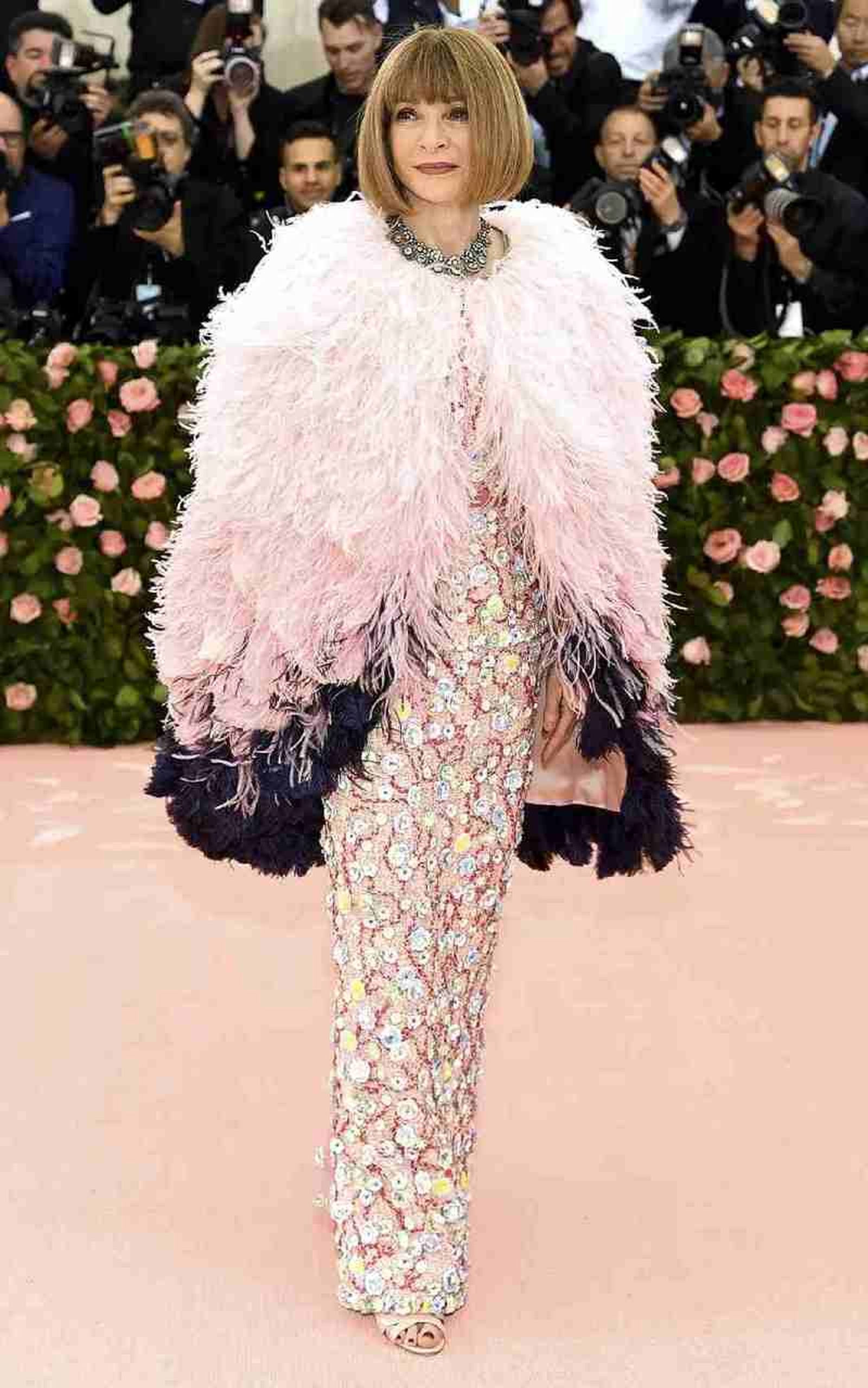 Anna Wintour MET Gala 2019 Anna Wintour MET Gala 2019