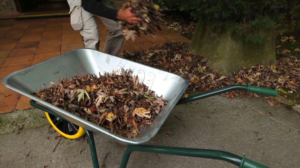Sopladores y aspiradores de hojas paso 2