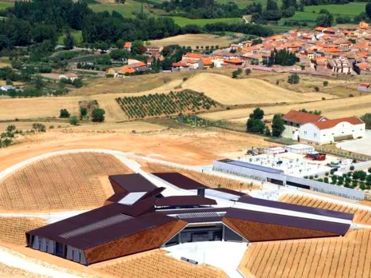 Portia tiene forma de estrella de tres puntas