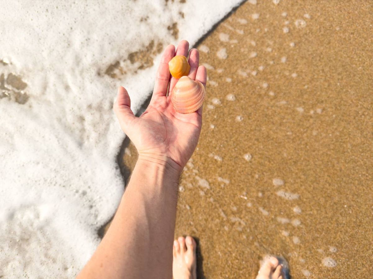 Crea complementos sin afectar al etorno natural.