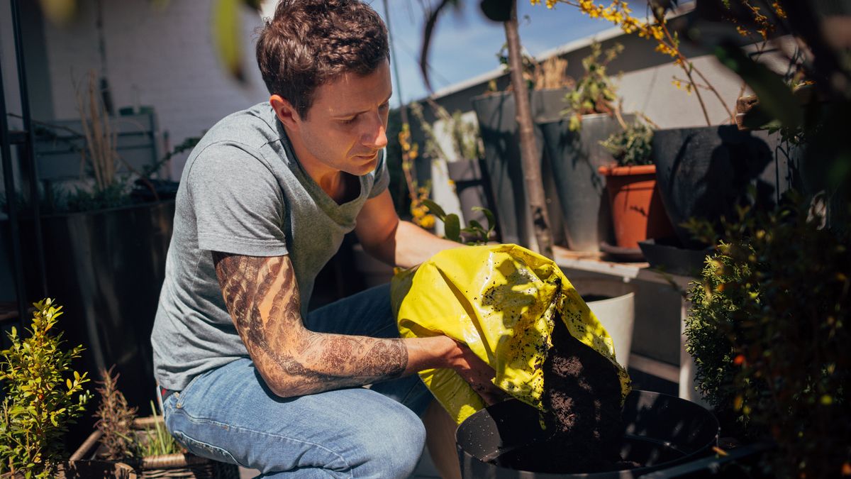 Hay que entender las necesidades de cada planta y ajustar el medio de cultivo