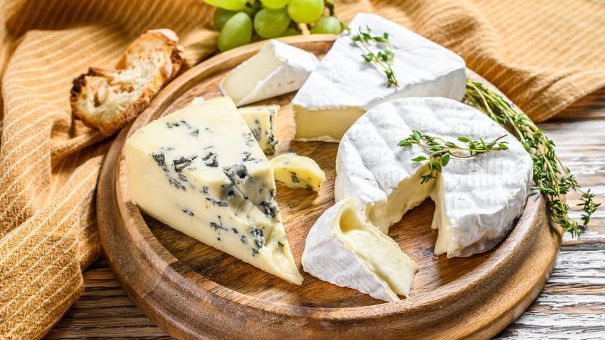 Quesos de pasta blanda y queso azul