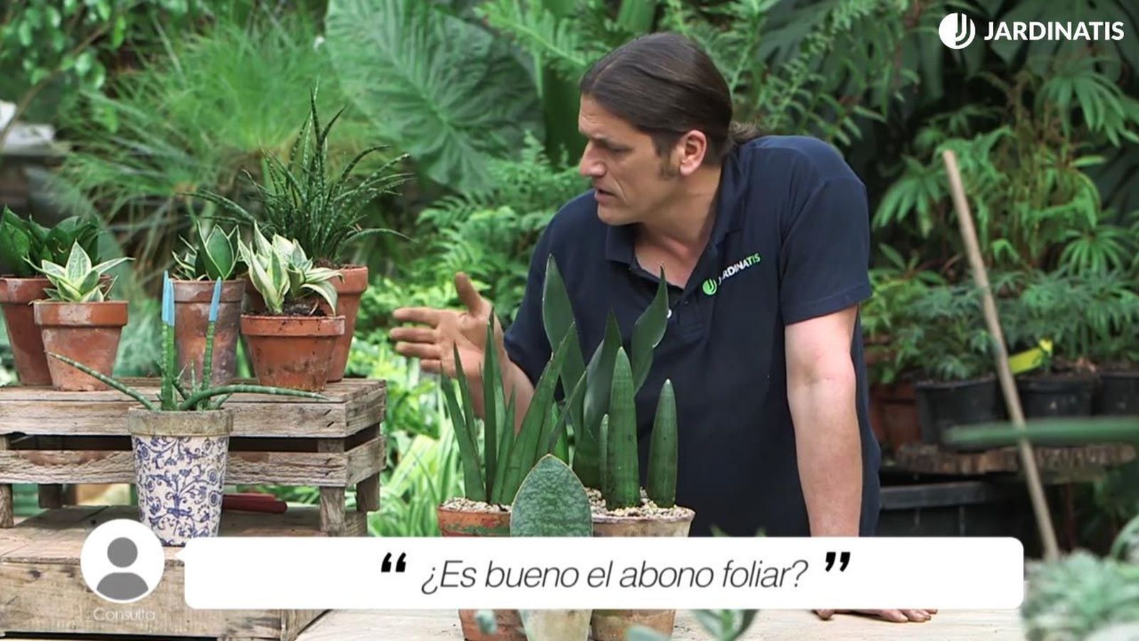 Si se usa bien, el abono foliar puede ser un aliado para el crecimiento de tus plantas