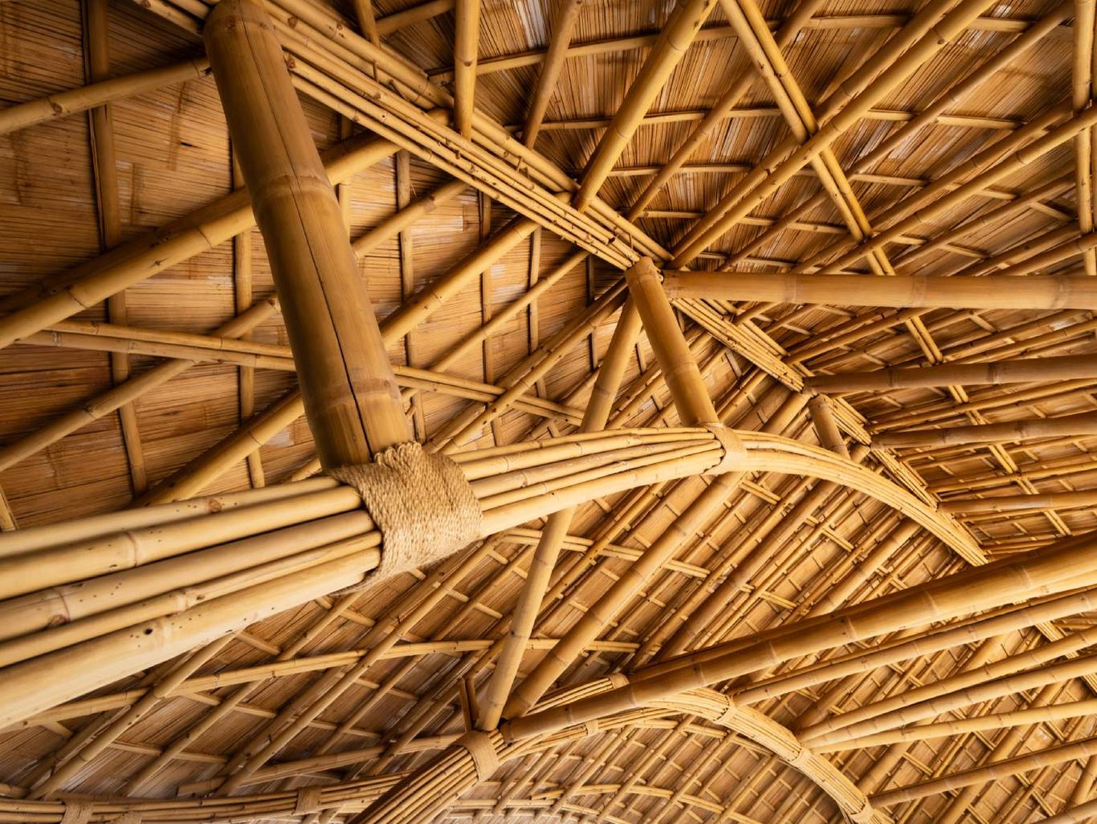 Estructura de bambú Estructura de bambú