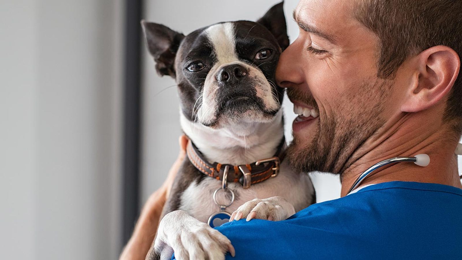 como llevar perro veterinario portada