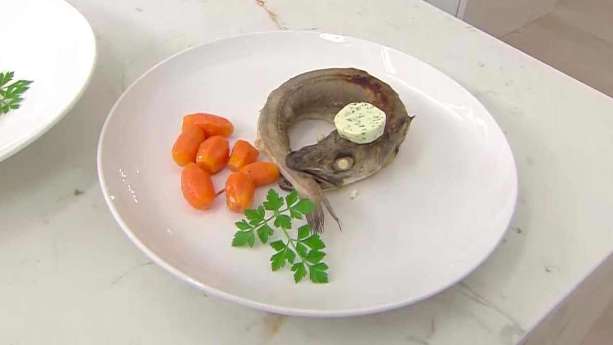 karl6635 pescadilla rabiosa p5