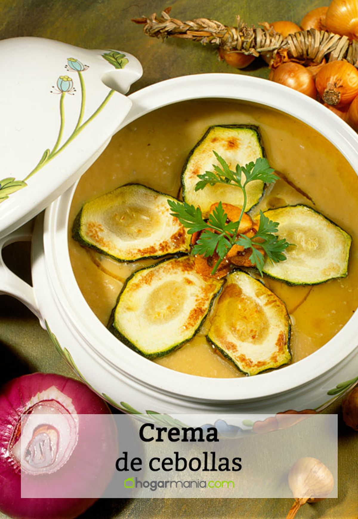 166 1 crema cebollas pin