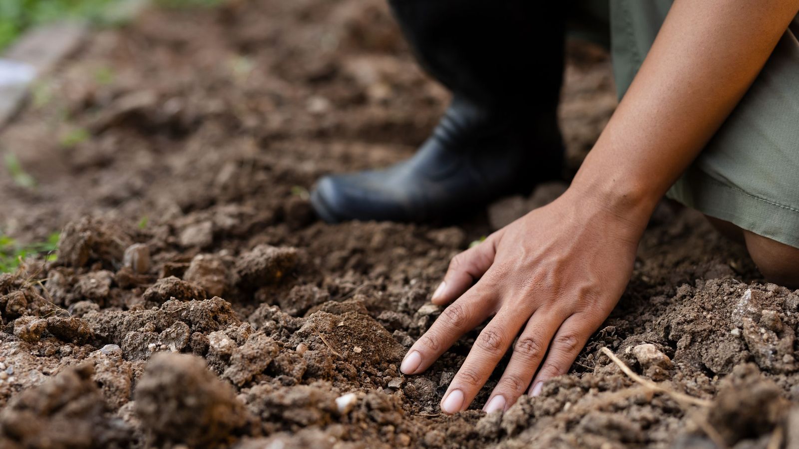 Reconocer un suelo sano es aprender a mirar más allá de la superficie