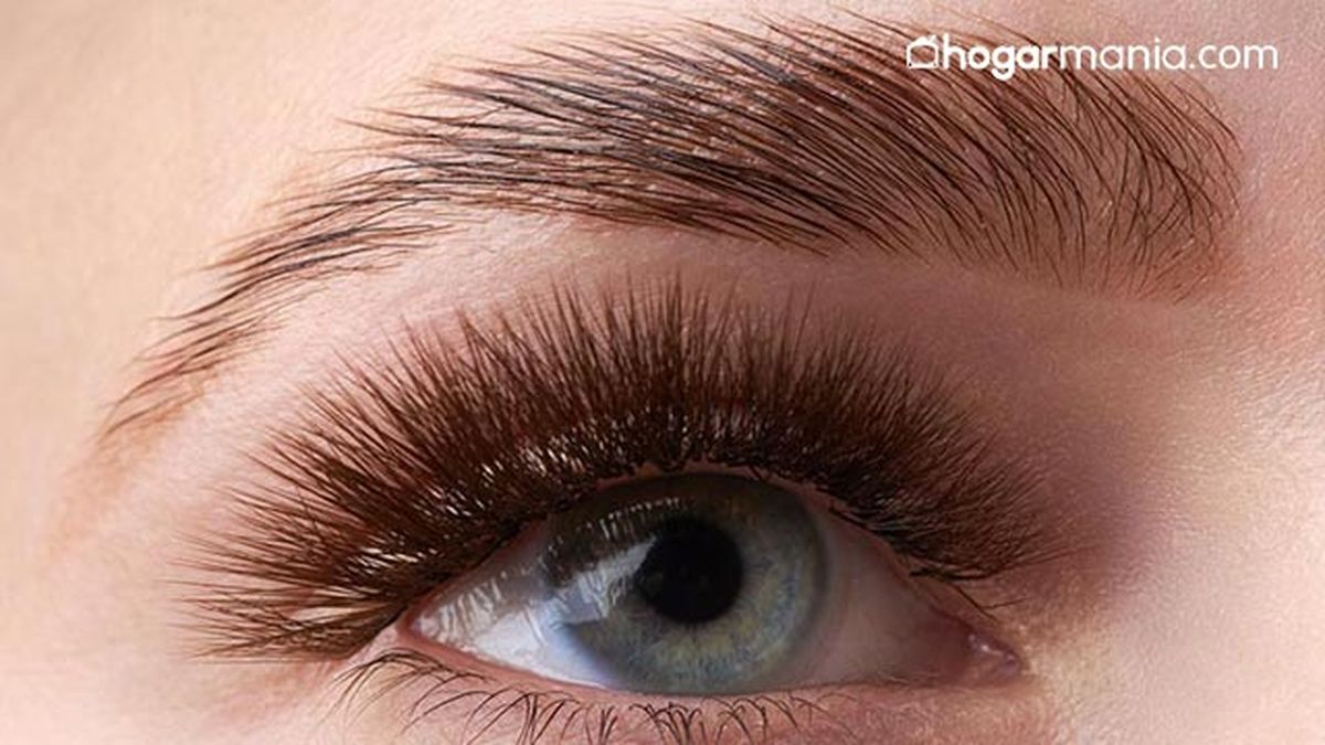 que es el laminado de cejas y cuanto dura 2