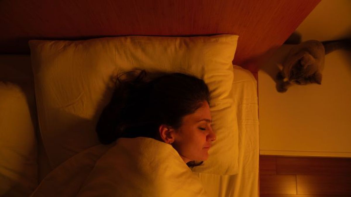 que significa sonar con un gato 5