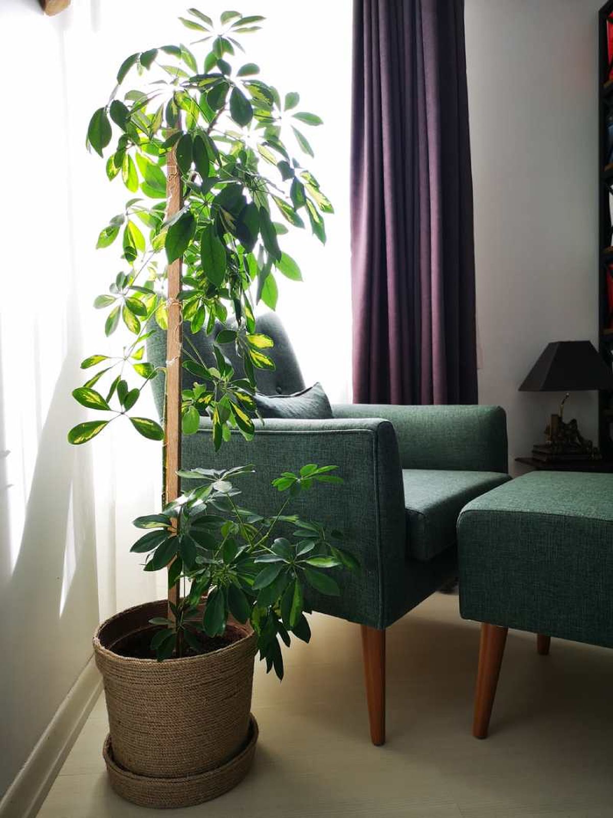 La chefera aporta mucha luz al salón