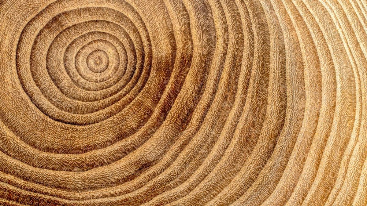 No es necesario talar el árbol para conseguir esa información