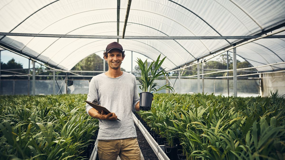 El origen del ejemplar influye mucho en su capacidad de adaptación en nuestro jardín