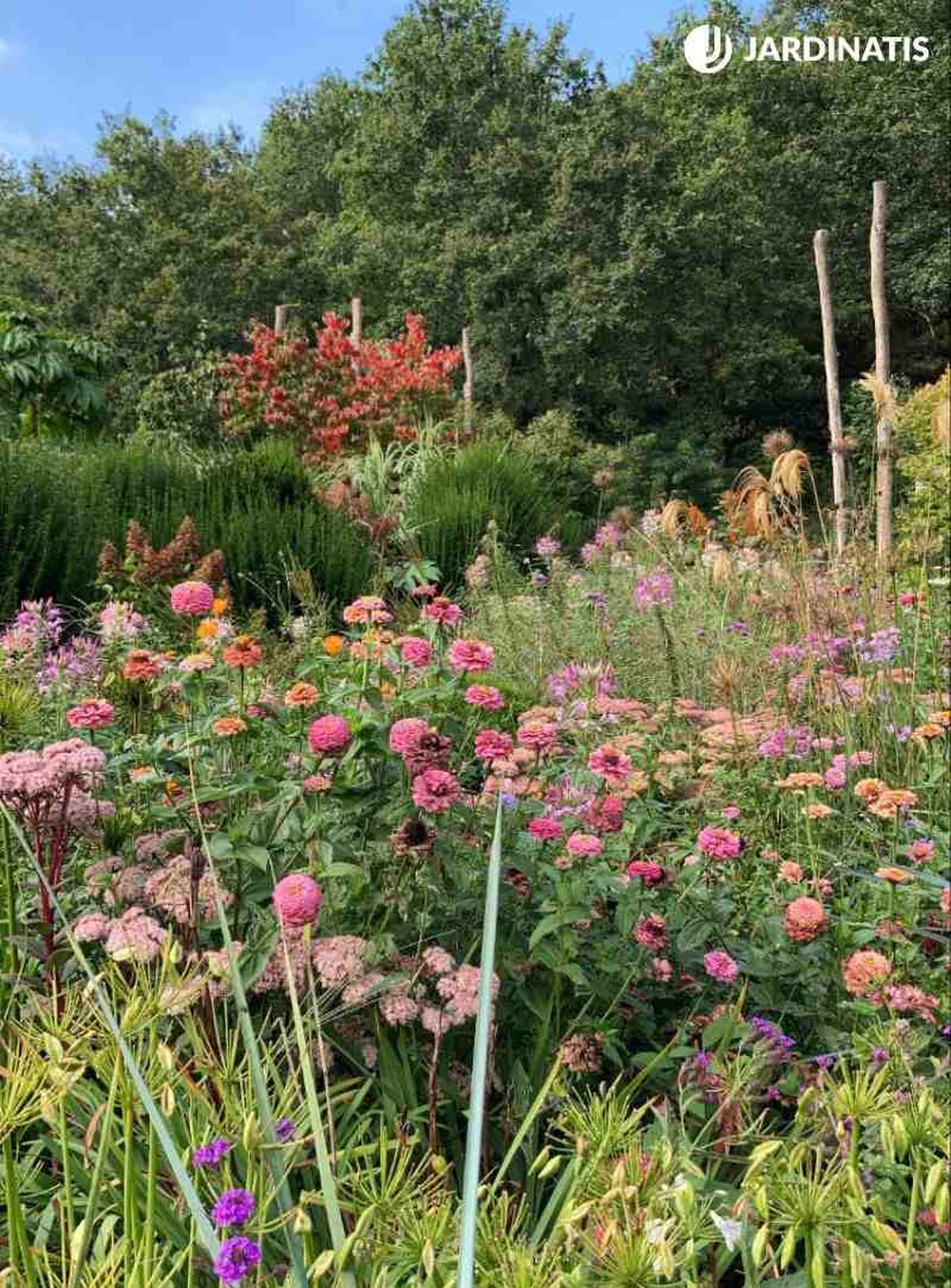 Flores del jardín Lur Garden.