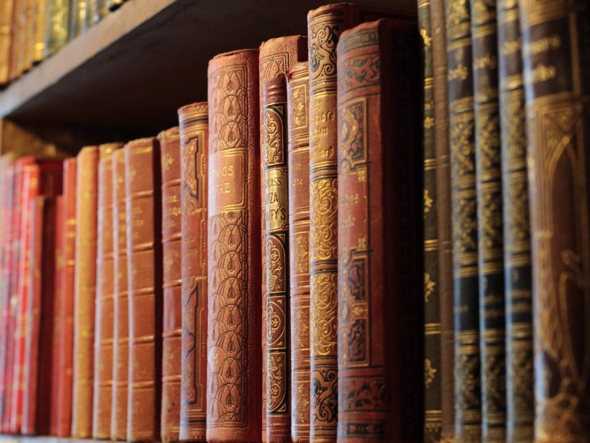 Los libros huecos son un escondite clásico y funcional si se integra bien.