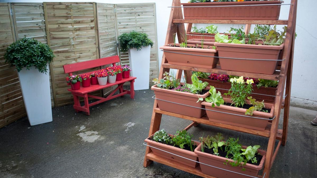 Bricomania 691 Crear una escalera para huerto p15