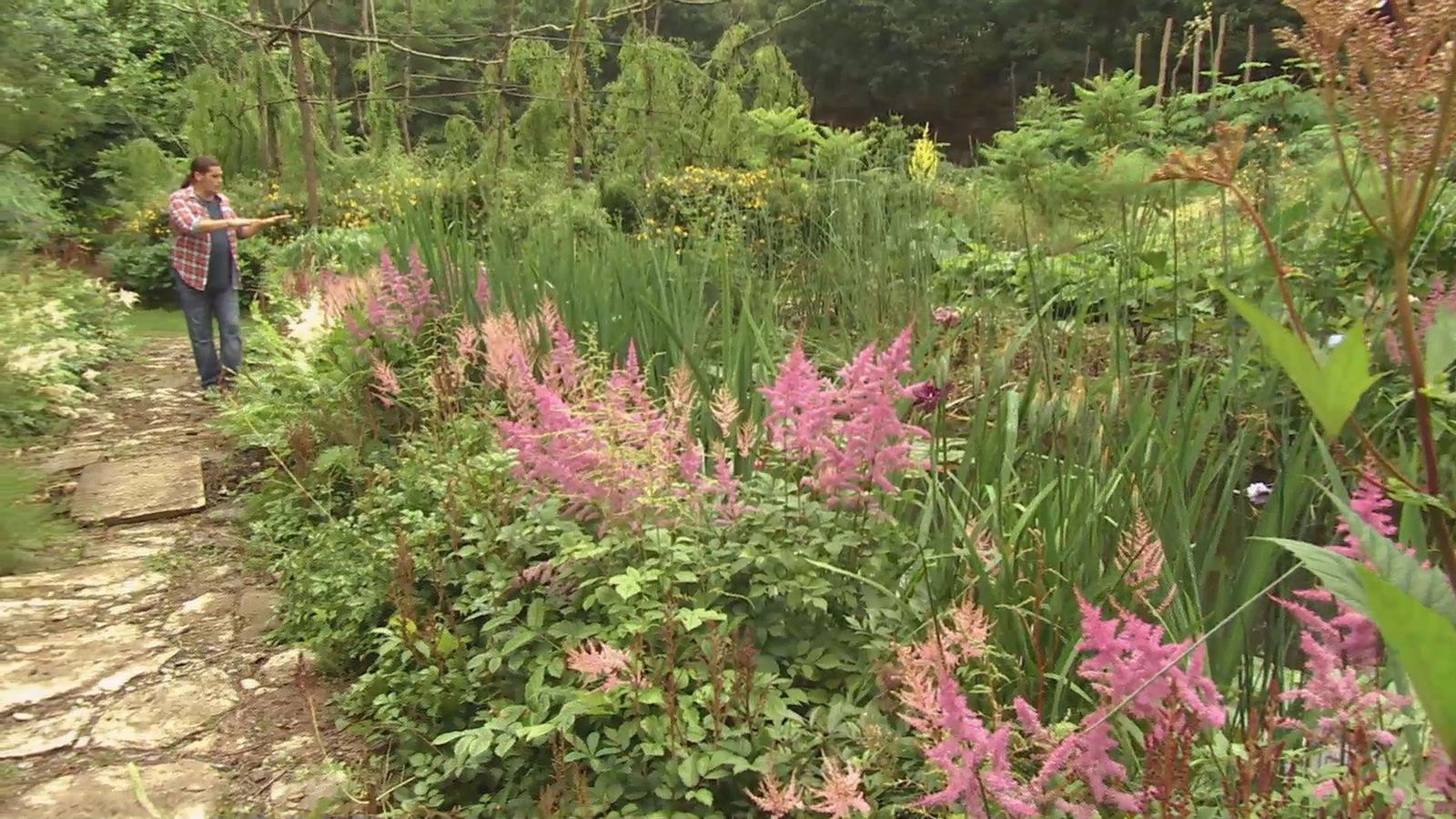 deco 0703 astilbes inicio deco 0703 astilbes inicio