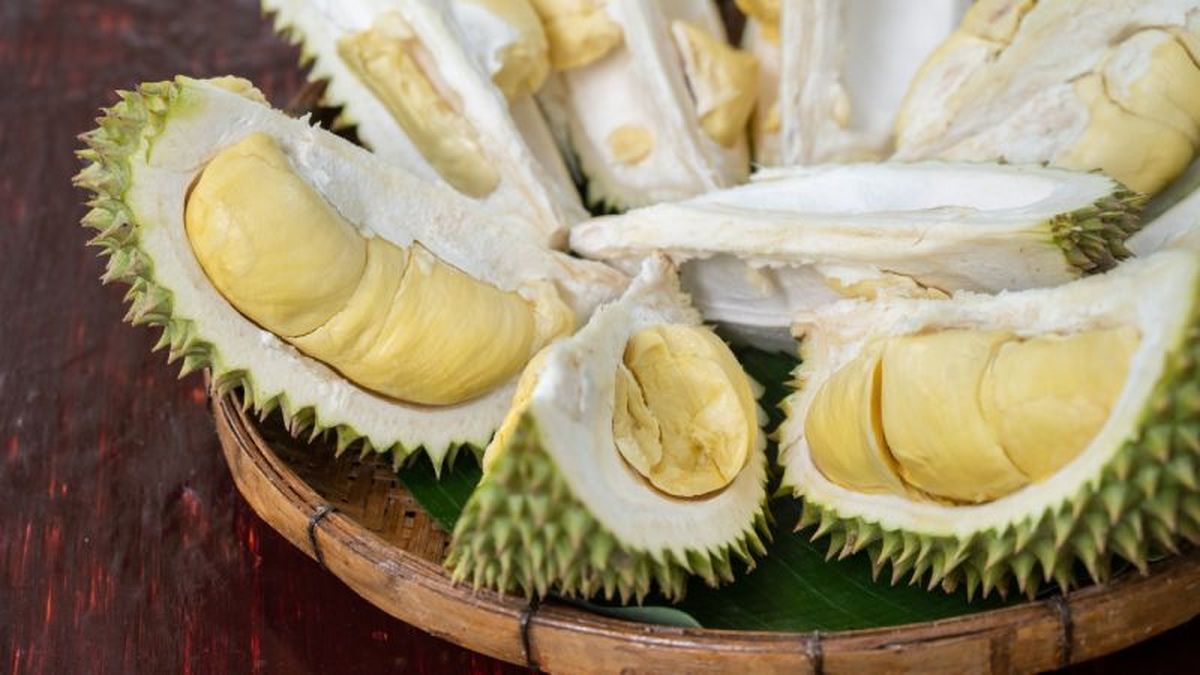 Durian, el rey de las frutas