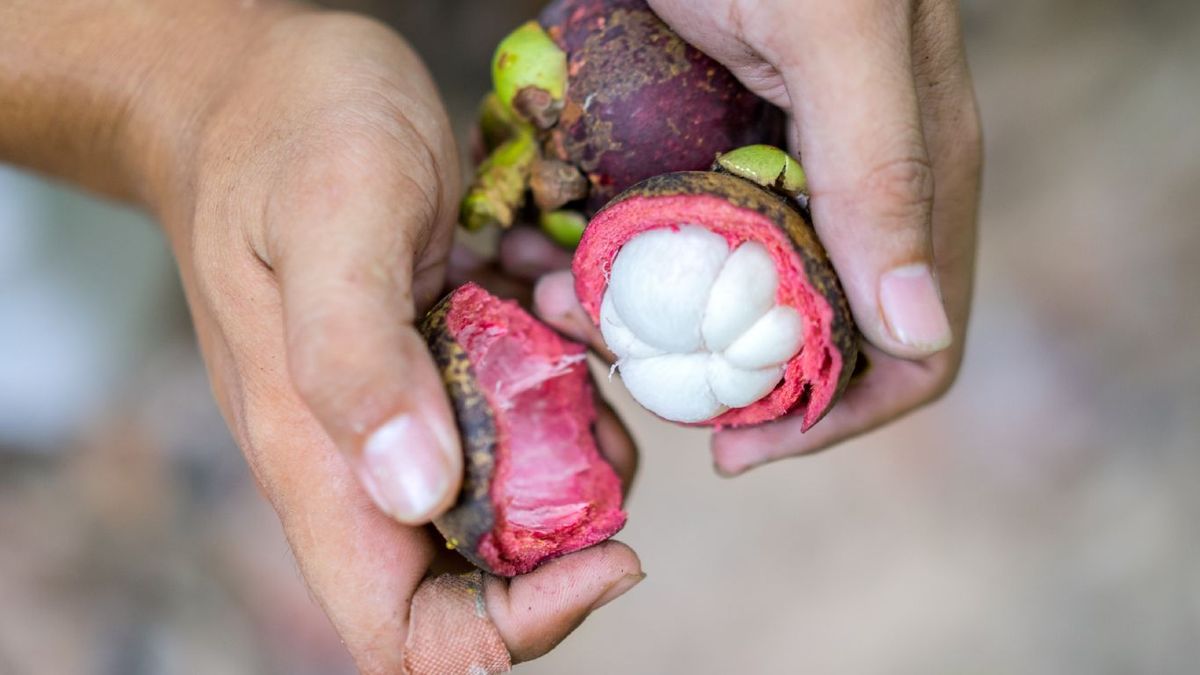 Cómo abrir un mangostán