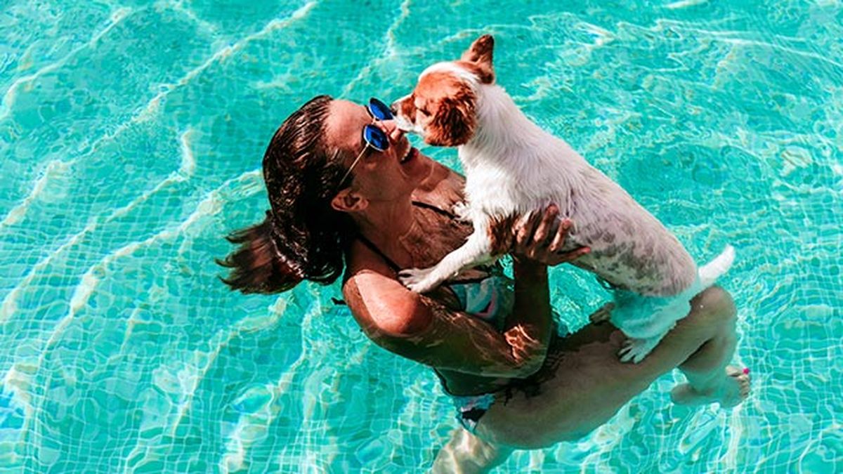 planes perros verano 1 piscina