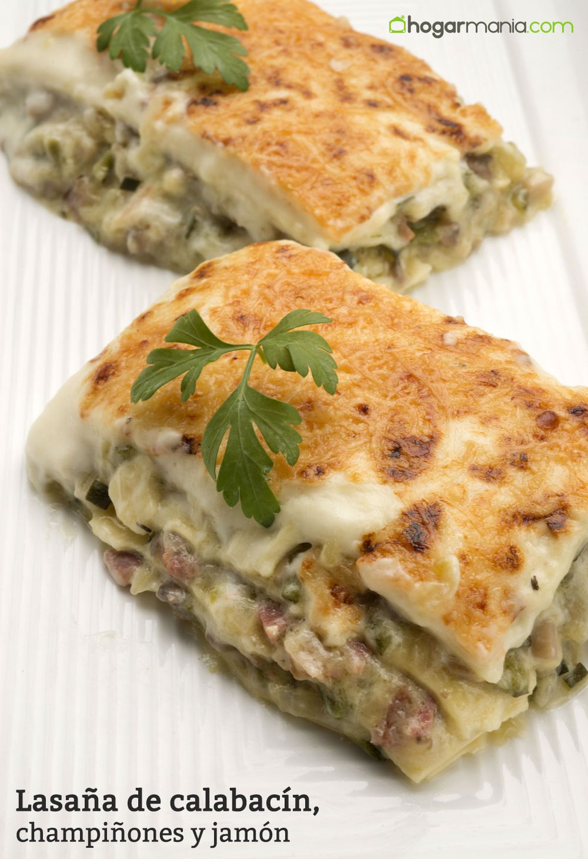 6093 1 Lasaña de calabacin champinones y jamon vertical xl