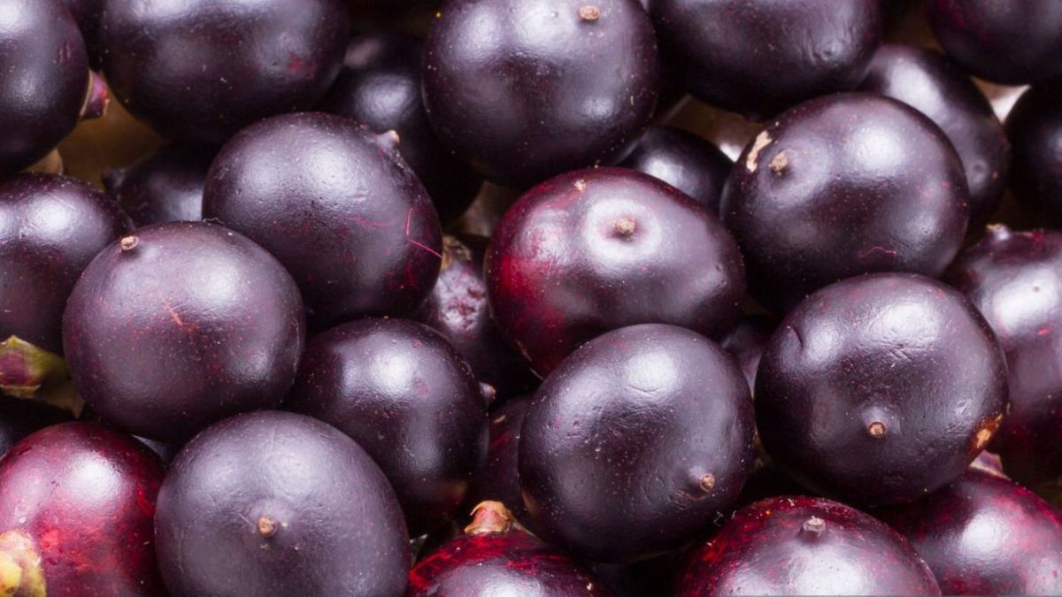 Açaí