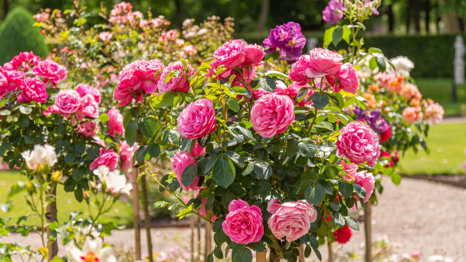 Las fragancias son clave, ya que los aromas tienen un poder enorme para traer recuerdos