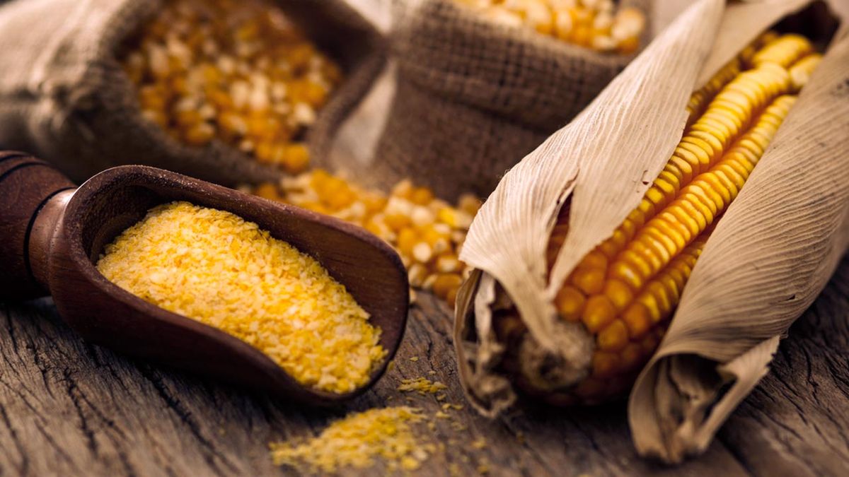 Polenta: origen, tipos y propiedades  polenta amarilla