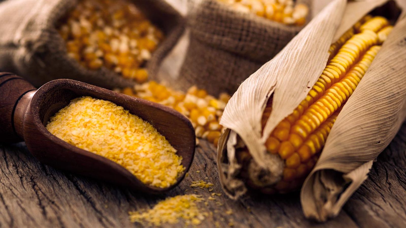 Polenta: origen, tipos y propiedades polenta amarilla Polenta: origen, tipos y propiedades polenta amarilla