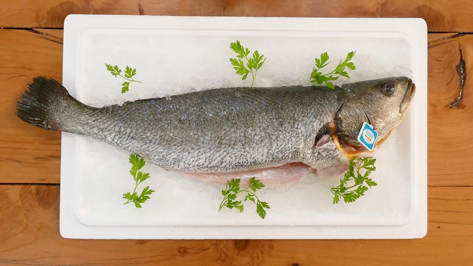 Artículo sobre corvina, pescado blanco bajo en grasas corvina Artículo sobre corvina, pescado blanco bajo en grasas corvina