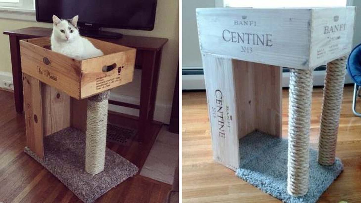 reciclar caja de vino rascador gatos