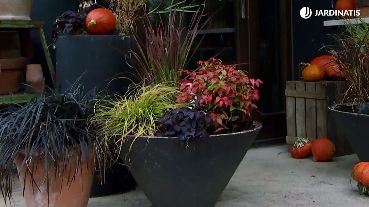 composicion otonal para entrada casa